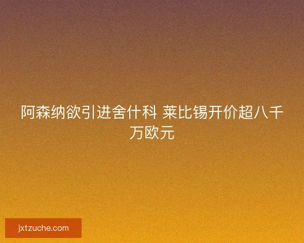 阿森纳欲引进舍什科 莱比锡开价超八千万欧元